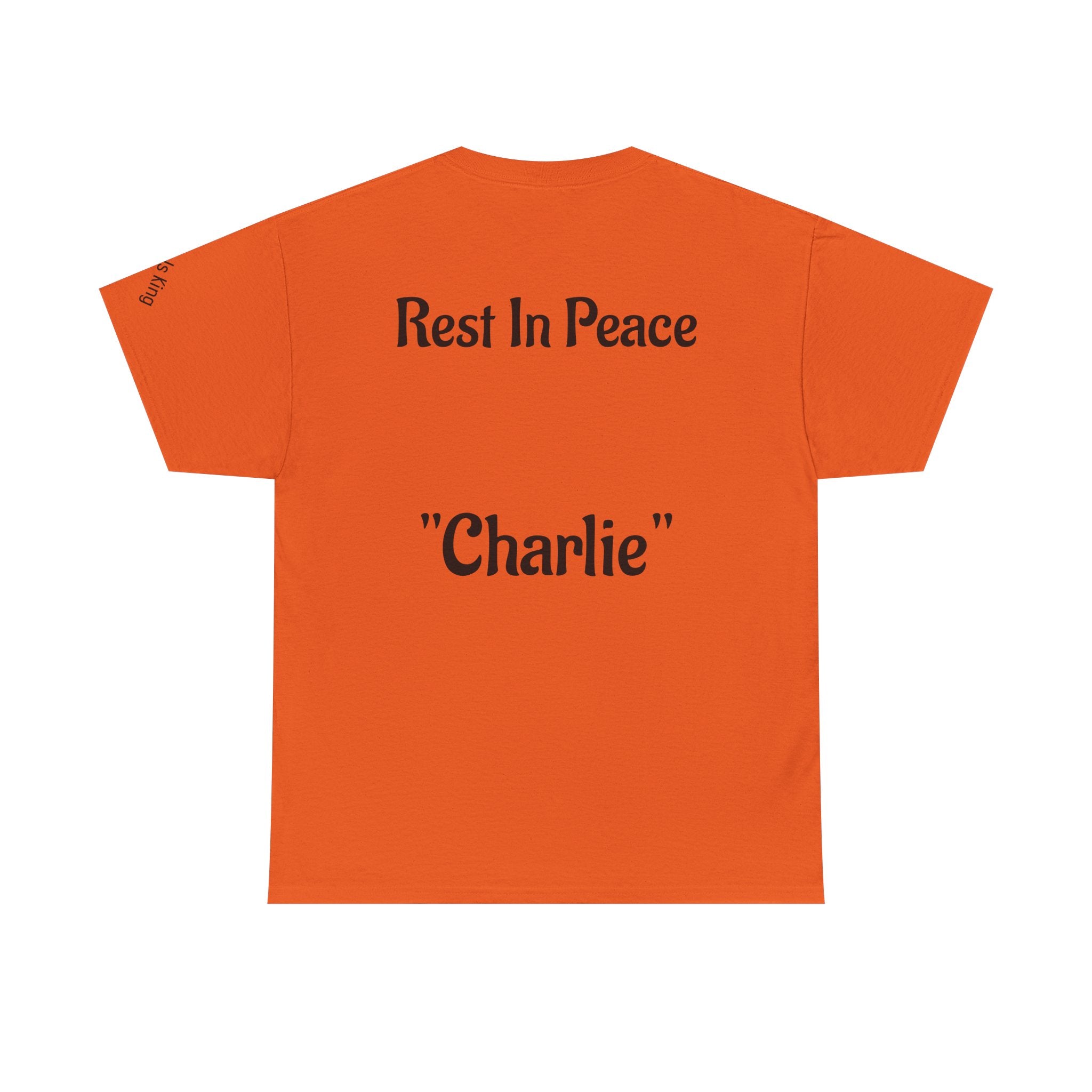 Thought-Provoking Unisex Heavy Cotton Tee: Rest In Peace Charlie, Opinion T-Shirt, Memorial Shirt, Casual Wear, Gift for Loss