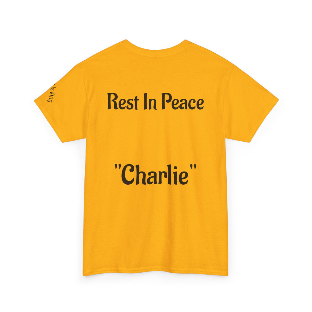 Thought-Provoking Unisex Heavy Cotton Tee: Rest In Peace Charlie, Opinion T-Shirt, Memorial Shirt, Casual Wear, Gift for Loss