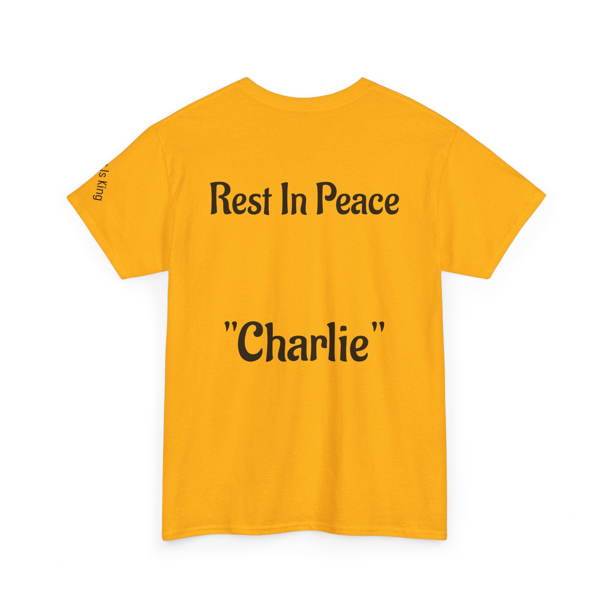 Thought-Provoking Unisex Heavy Cotton Tee: Rest In Peace Charlie, Opinion T-Shirt, Memorial Shirt, Casual Wear, Gift for Loss