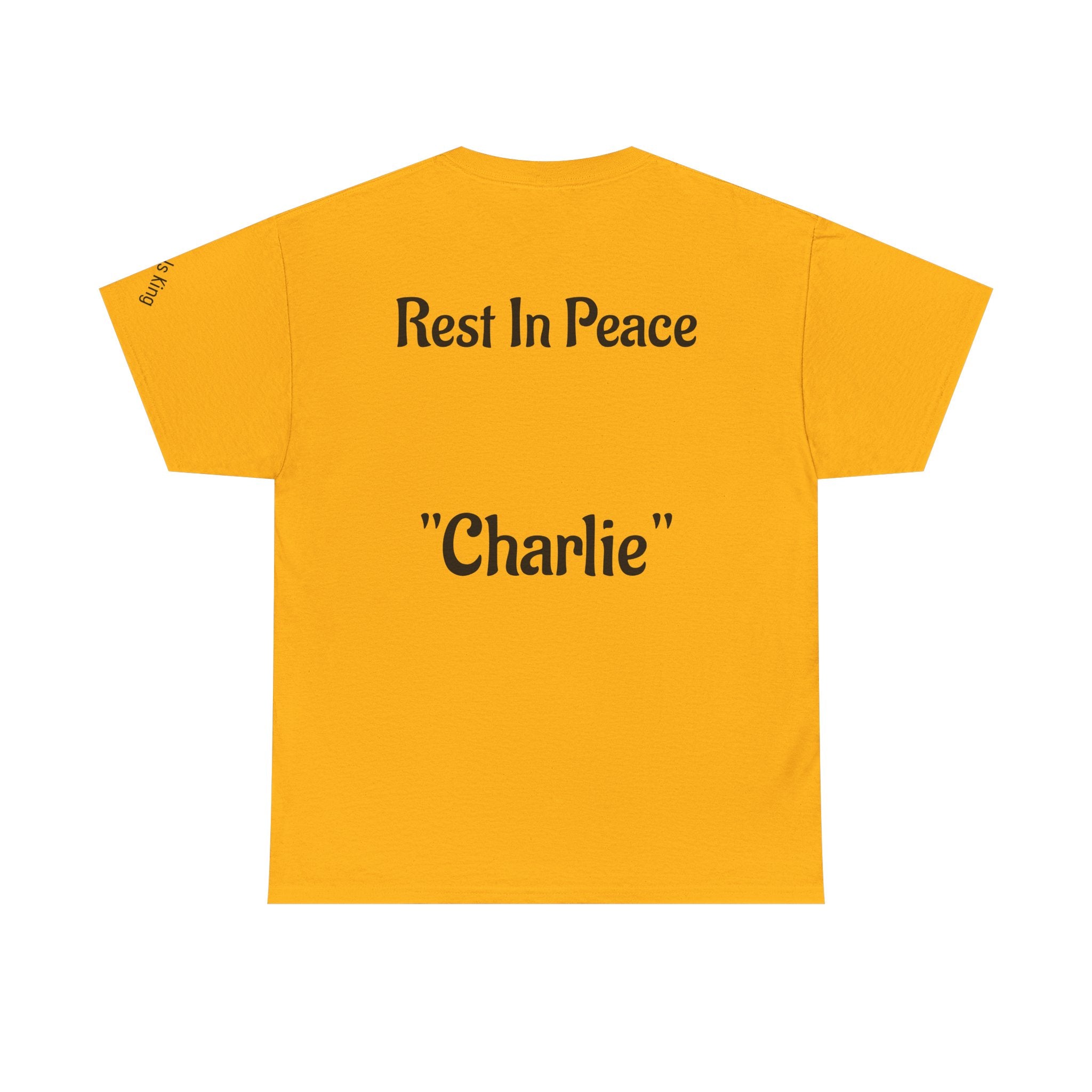 Thought-Provoking Unisex Heavy Cotton Tee: Rest In Peace Charlie, Opinion T-Shirt, Memorial Shirt, Casual Wear, Gift for Loss